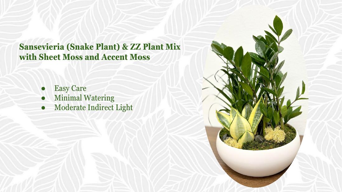 Snake ZZ accent moss