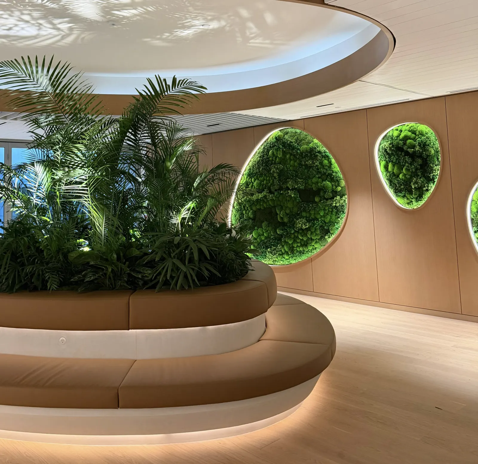 Preserved moss art wall in an office