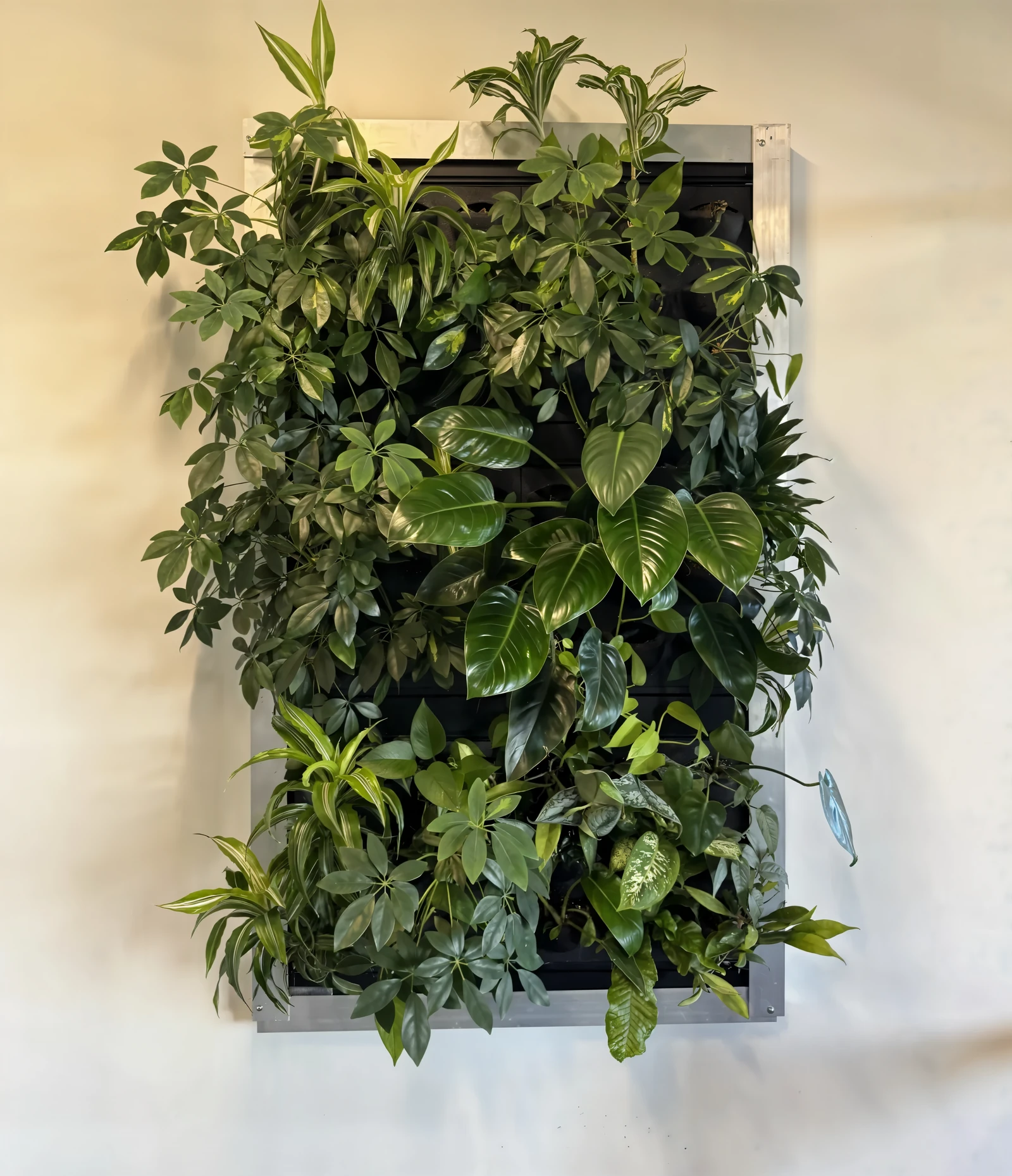 Living wall install