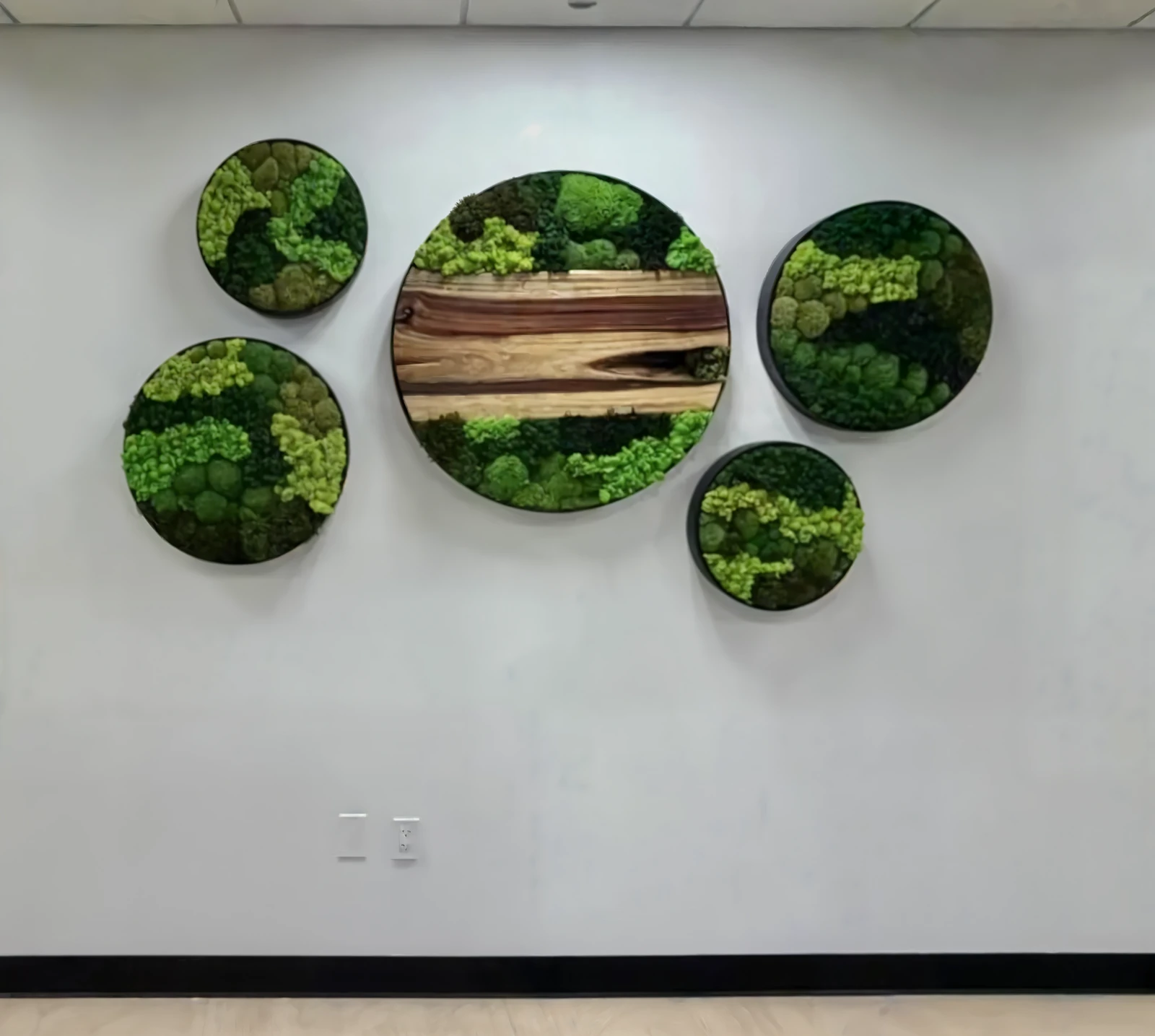 Moss art discs